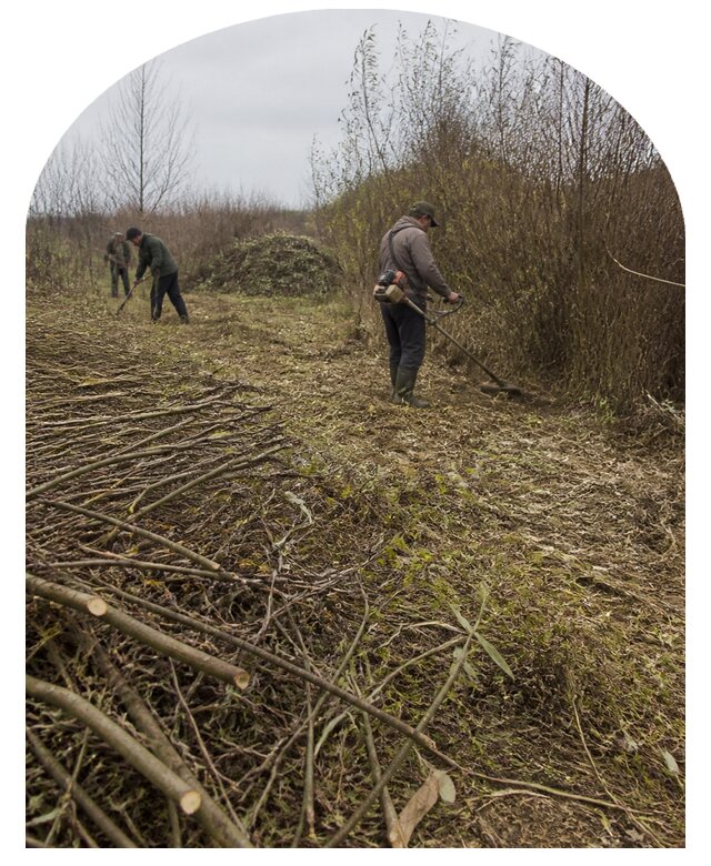 Удаление кустарника в Гукове по цене от 5646 р. | Метпроект-Гкв