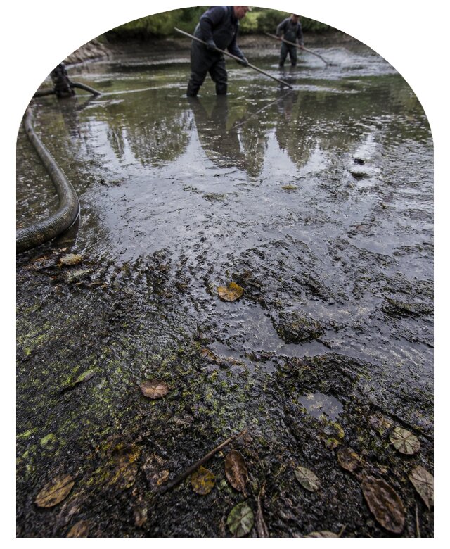 Очистка пруда в Гукове от ила мусора и водорослей с вывозом